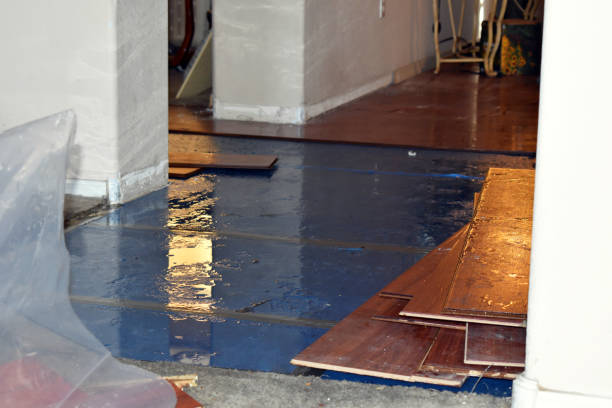 Professional Burst Pipe Cleanup technician working in New Boston, TX